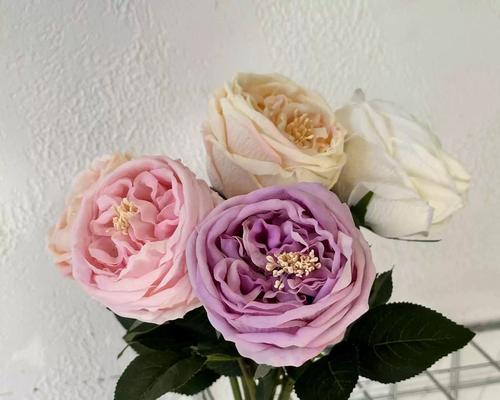 玫瑰花假花如何快速生根？有哪些插花技巧？