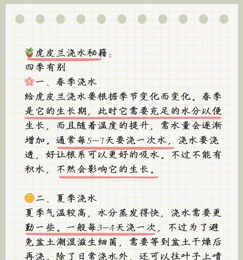 辣椒水对君子兰有影响吗？如何正确浇水？