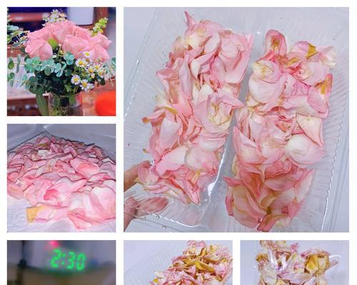 玫瑰花枯萎后如何处理？有哪些复原技巧？