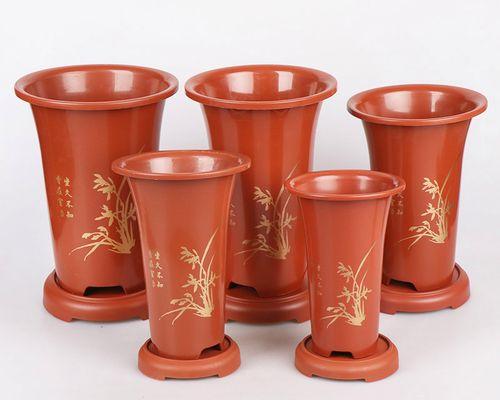 君子兰紫砂盆种植技巧是什么？如何确保成活率？