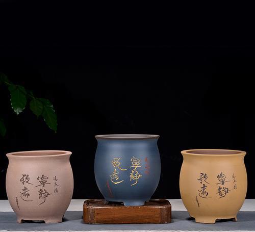 君子兰紫砂盆种植技巧是什么？如何确保成活率？