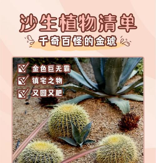 你知道哪些有趣的仙人球品种名称？