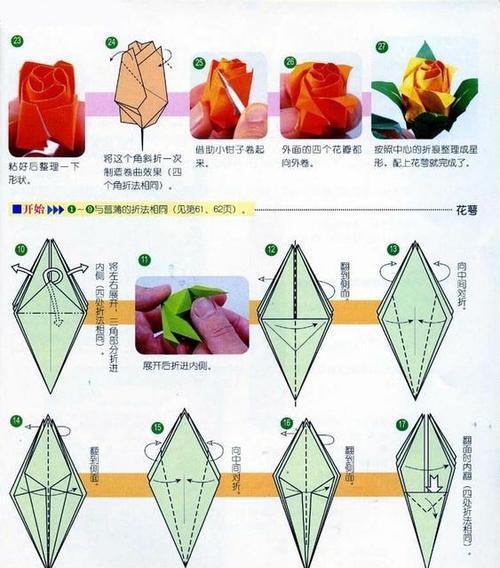 迷你玫瑰花的养殖方法是什么？