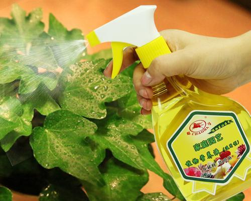 植物营养液如何正确使用于仙人球？使用效果如何？