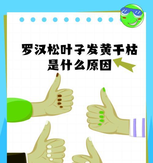 仙人掌为何会发黄变皱？如何解决这一问题？