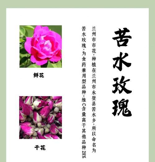 哪种进口玫瑰花品种价格最高？