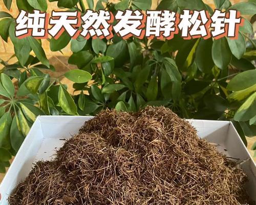 君子兰长叶子需要什么肥料？