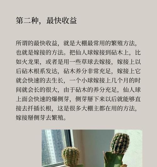 仙人球种植时应选择哪种土壤？