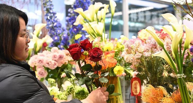 郑州花卉市场玫瑰花价格是多少？