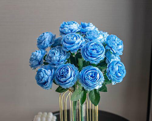 南瓜刻牡丹花好吗？南瓜刻牡丹花的养护方法是什么？