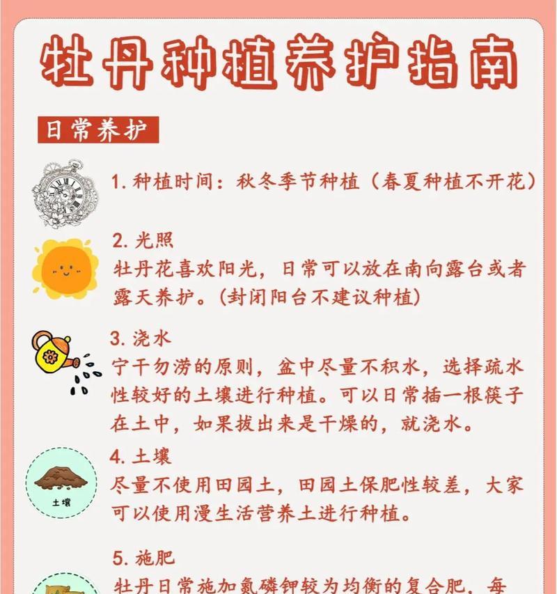 特大朵牡丹花养护管理要点是什么？