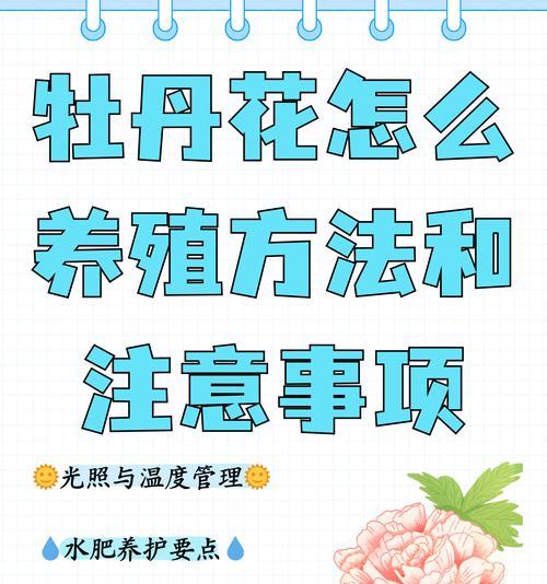 特大朵牡丹花养护管理要点是什么？
