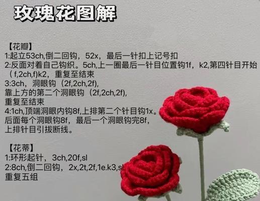 带刺玫瑰花嫁接技巧有哪些？