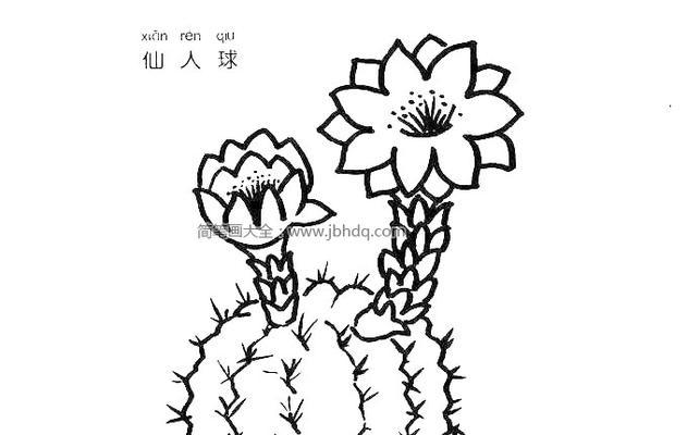 魔法仙人掌叶子如何打开？