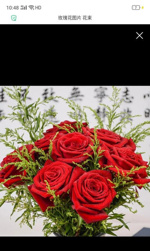 粉丝玫瑰花语暗示什么？粉丝玫瑰代表了哪种情感？