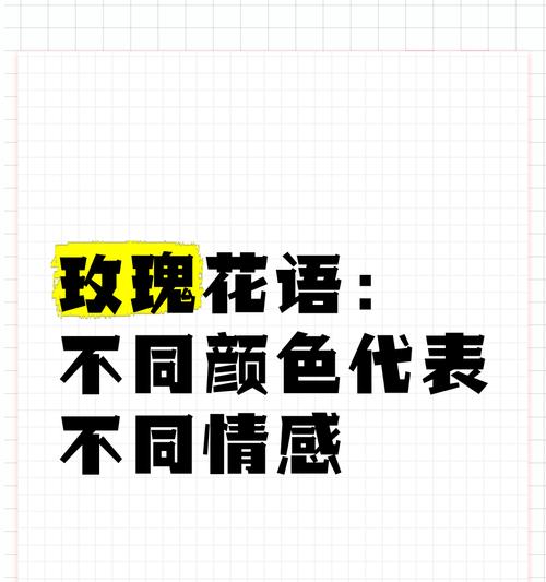 粉丝玫瑰花语暗示什么？粉丝玫瑰代表了哪种情感？