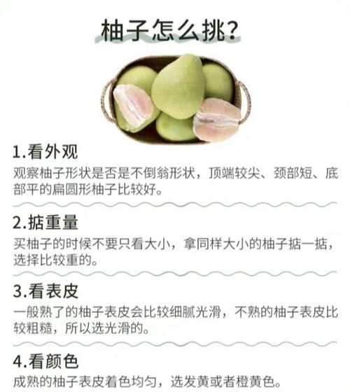 柚子在春夏秋冬的花语有何不同？如何用柚子花语表达四季情感？