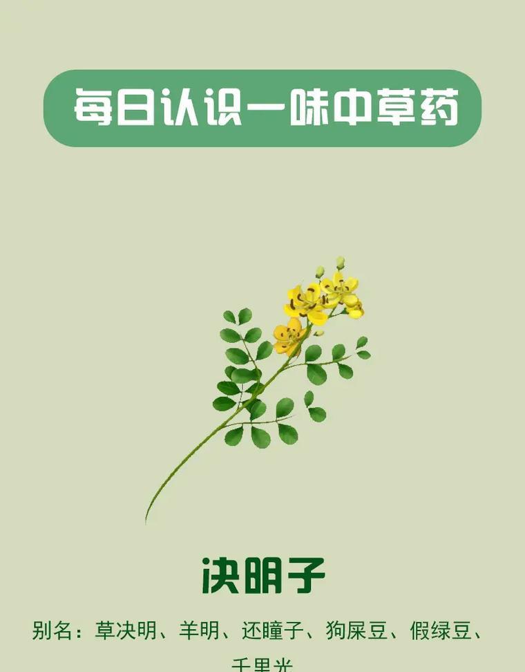 鬼卿的花语是什么？有何特别含义？
