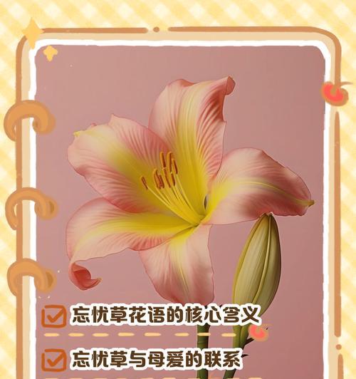 花语山位于哪里？它有什么特别的花语含义？