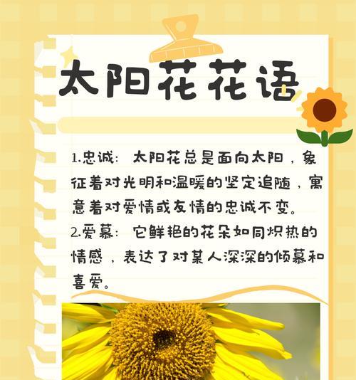 花语山位于哪里？它有什么特别的花语含义？
