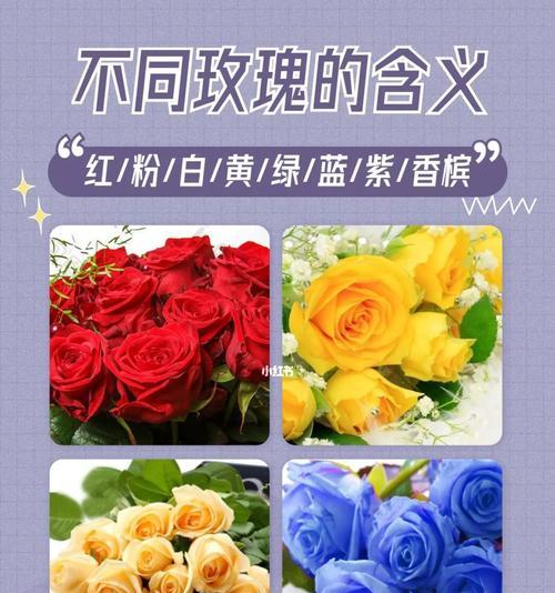 送老婆玫瑰花束的花语寓意是什么？