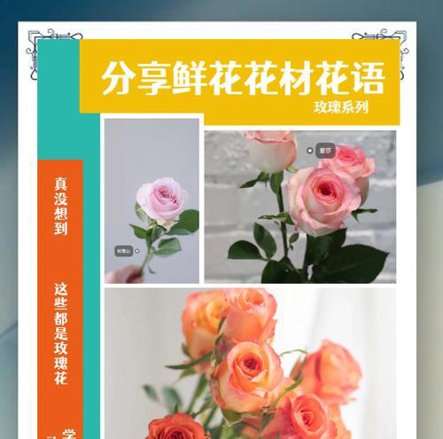送老婆玫瑰花束的花语寓意是什么？