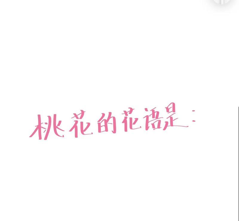 桃花的花语简短解释是什么？代表什么？