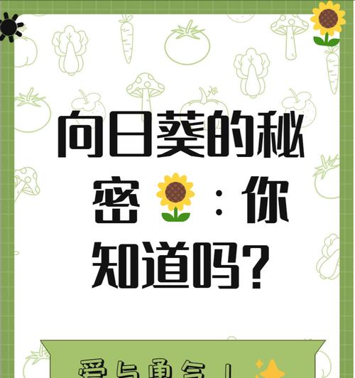 向日葵的日文花语是什么？它在不同文化中有哪些差异？