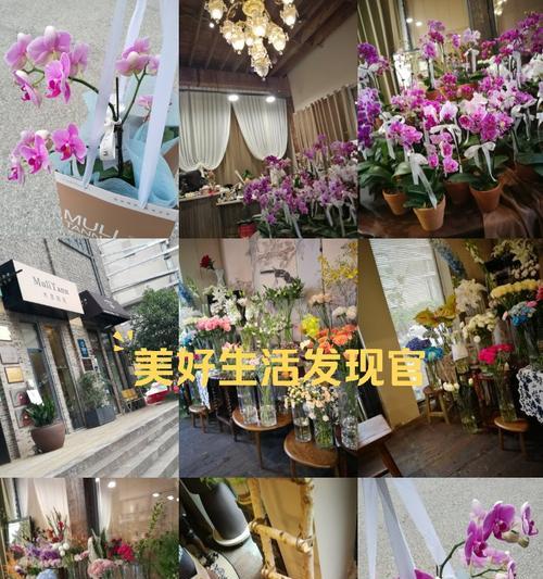 兰花的花语有哪些经典语录？