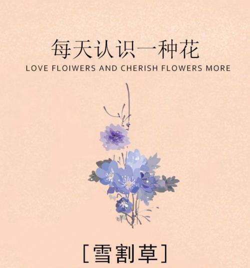 雪做成的花的花语是什么？它象征着什么？