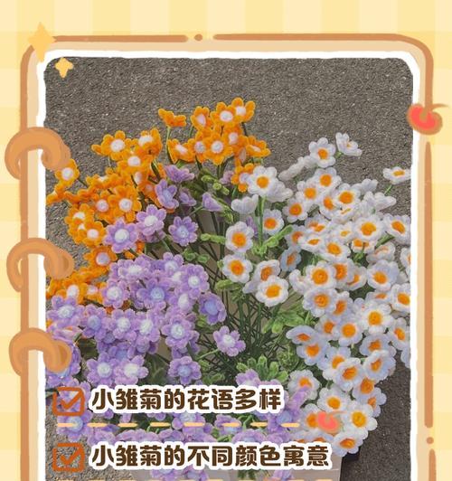 教学场合的花语有何讲究？