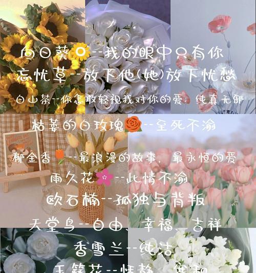 教学场合的花语有何讲究？