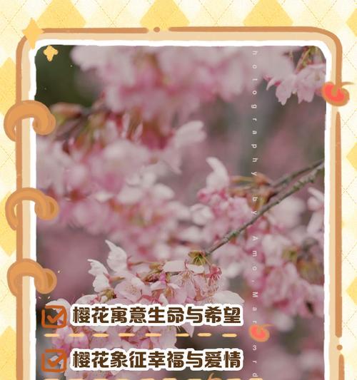 樱花的花语是什么？它和什么有关联？