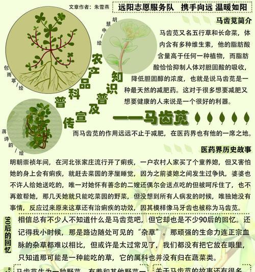 绝对不能拔的草代表什么？花语中隐藏了什么秘密？