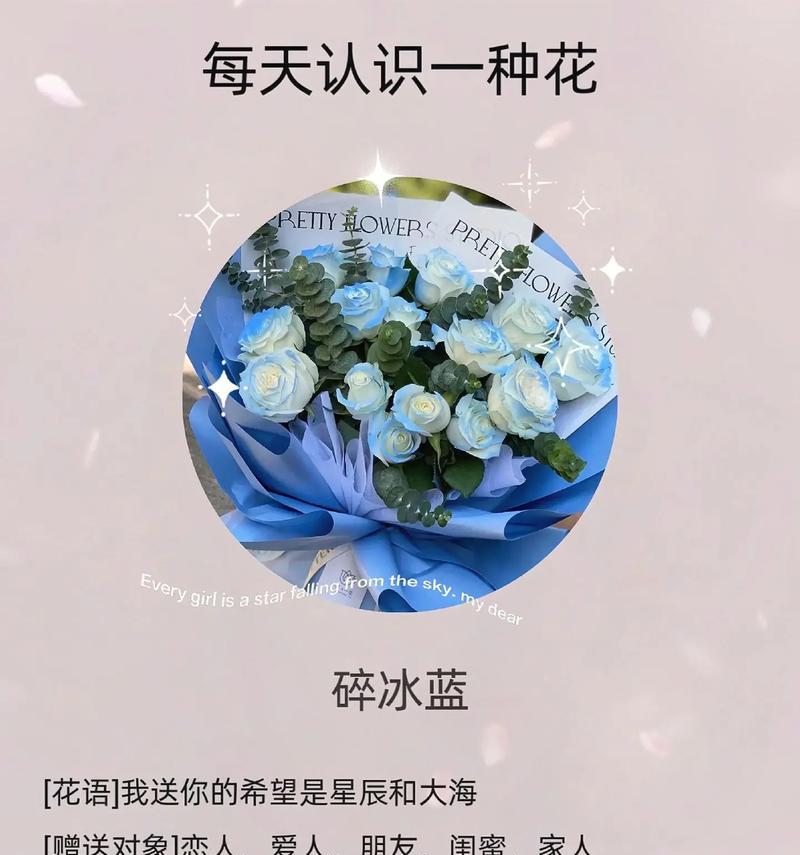 一支玫瑰花的花语是什么？