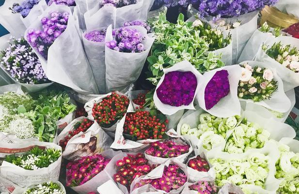花语中的谣言代表什么？