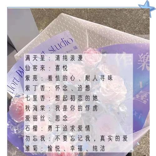 十元花束的花语大全有哪些？这些花语的寓意是什么？