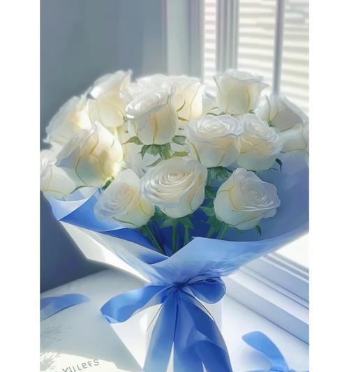 白玫瑰作为礼物的花语是什么？送给女友有何特别含义？