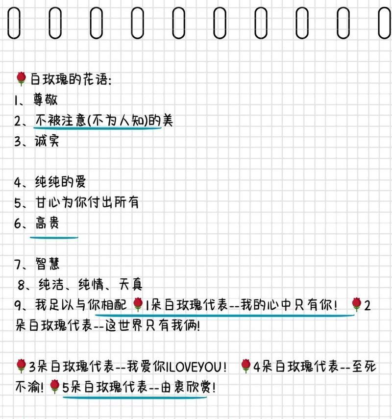 白玫瑰作为礼物的花语是什么？送给女友有何特别含义？