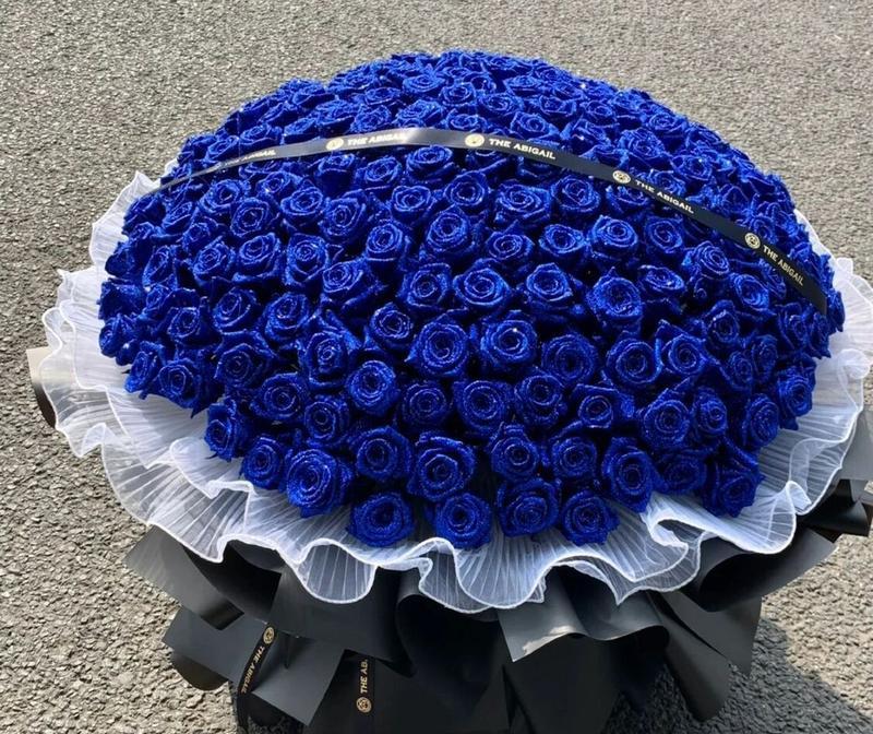蓝色妖姬代表什么？花语背后的寓意是什么？