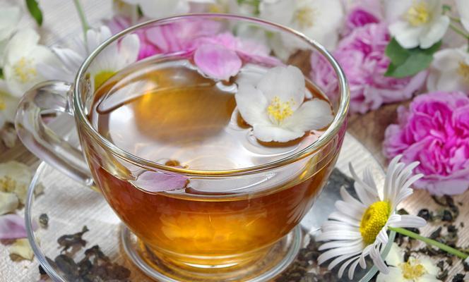 茉莉小菊的花语是什么？它在花语中有什么特别含义？
