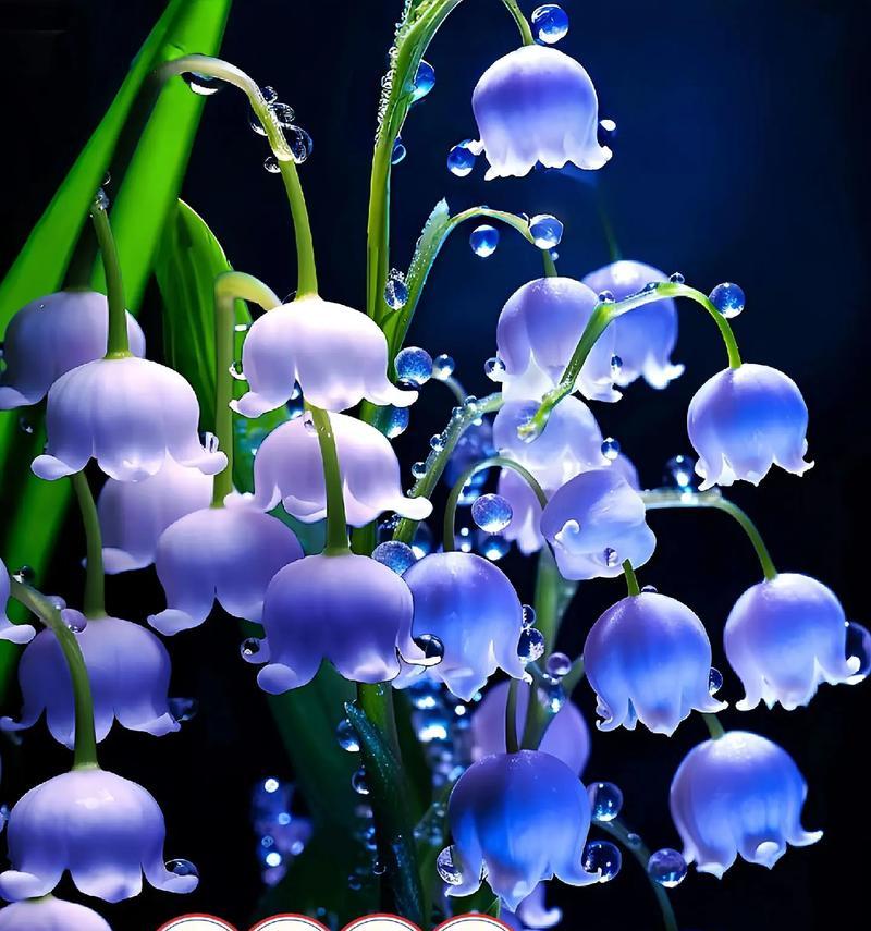 烟雾花的花语有何含义？它象征着什么？