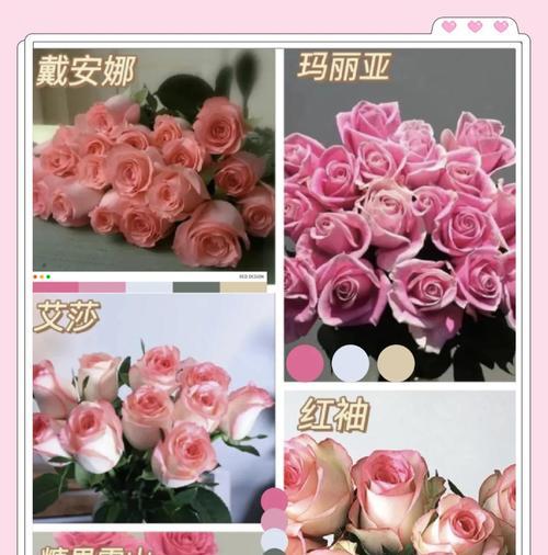 玫瑰常用来表达什么？其花语有何深意？