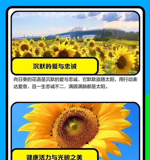 蒙太奇风格向日葵的花语有何深意？