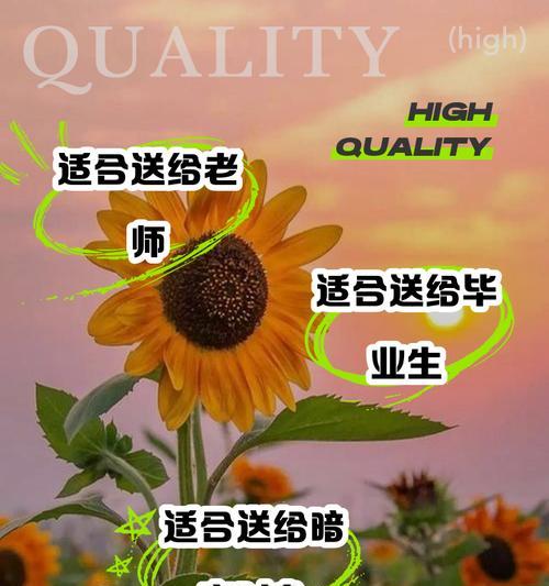 蒙太奇风格向日葵的花语有何深意？