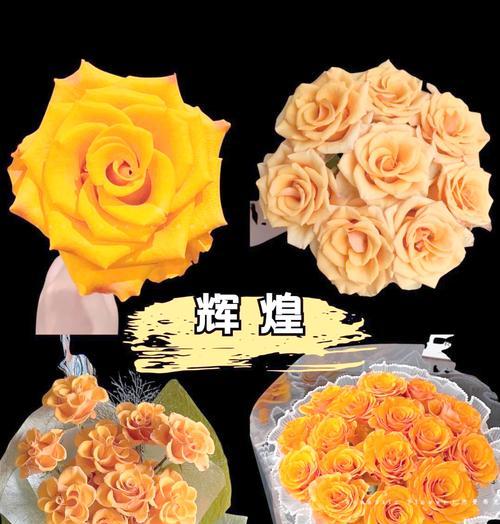 黄色玫瑰花的花语是什么？它象征着什么情感？