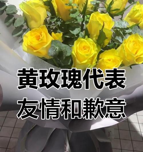 黄色玫瑰花的花语是什么？它象征着什么情感？