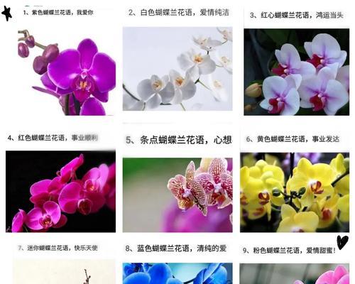 调侃别人时用什么花语的句子合适？如何巧妙运用花语？