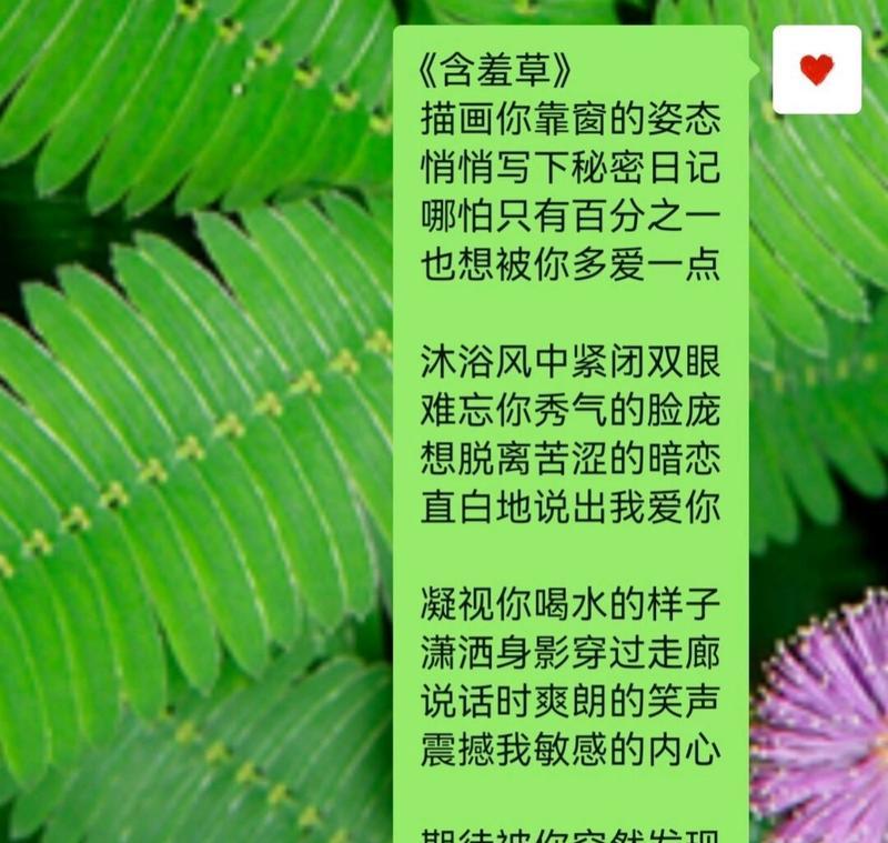含羞草的花语短句是什么？它象征着什么？