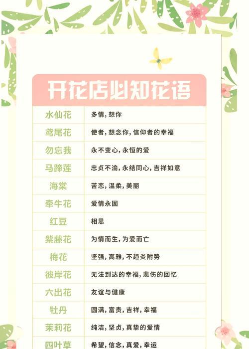 花语橙橙小马有何含义？它传递了怎样的信息？